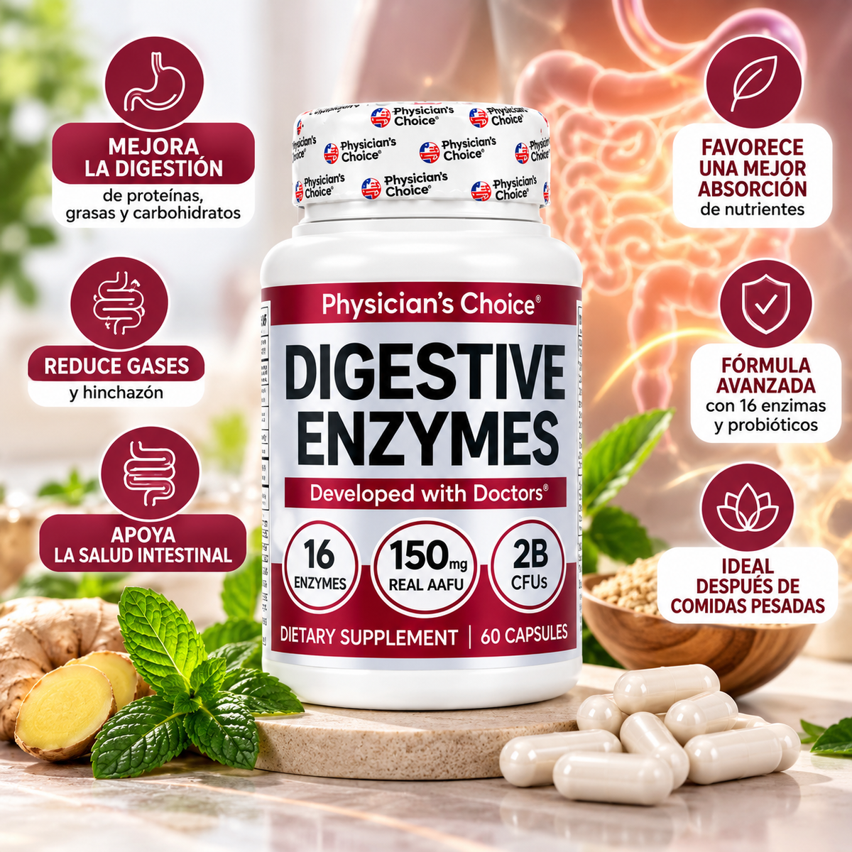 Enzimas Digestivas + Probióticos y Prebióticos | 60 Cápsulas