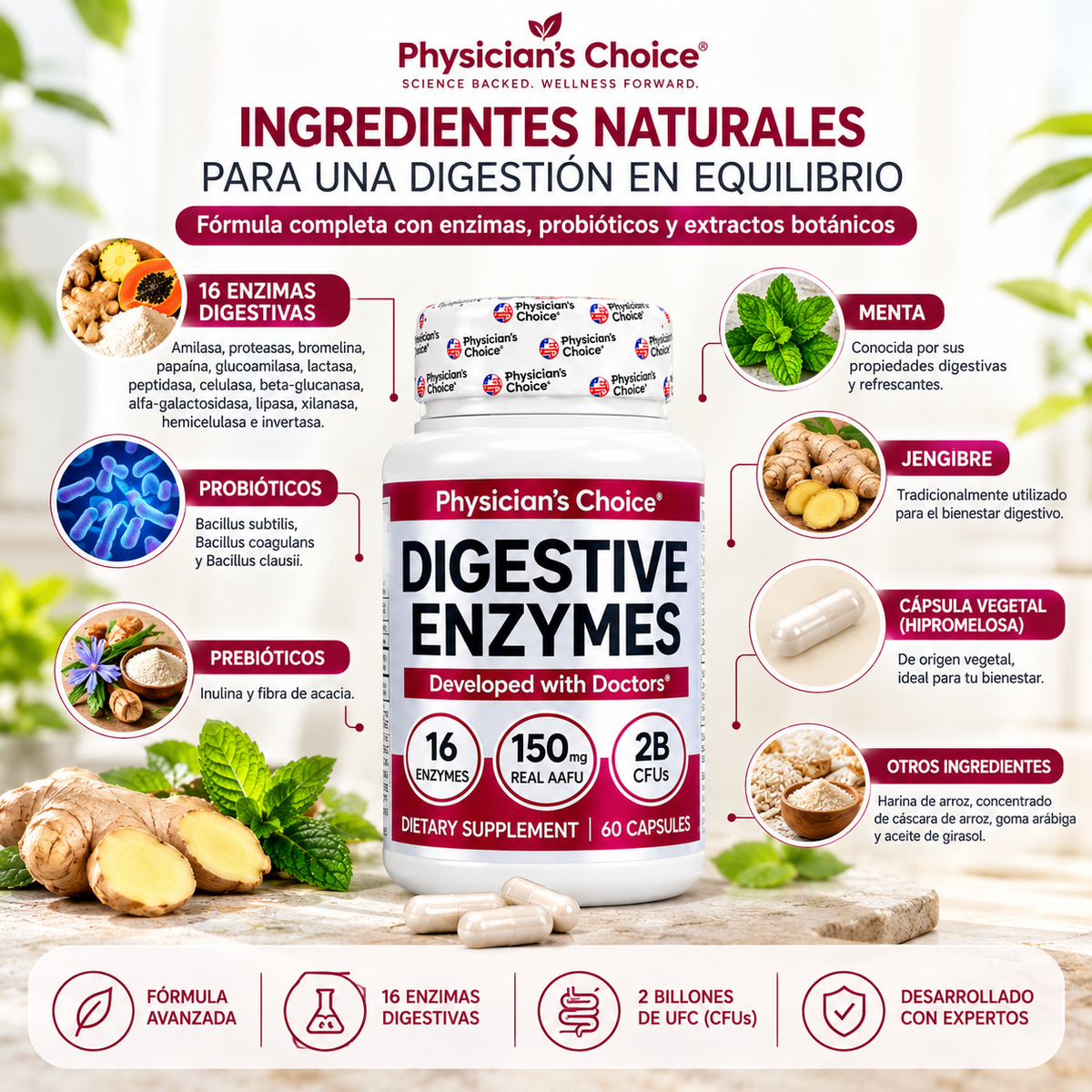 Enzimas Digestivas + Probióticos y Prebióticos | 60 Cápsulas